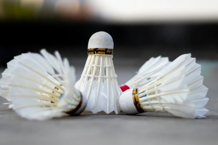cinq volants en plume de badminton